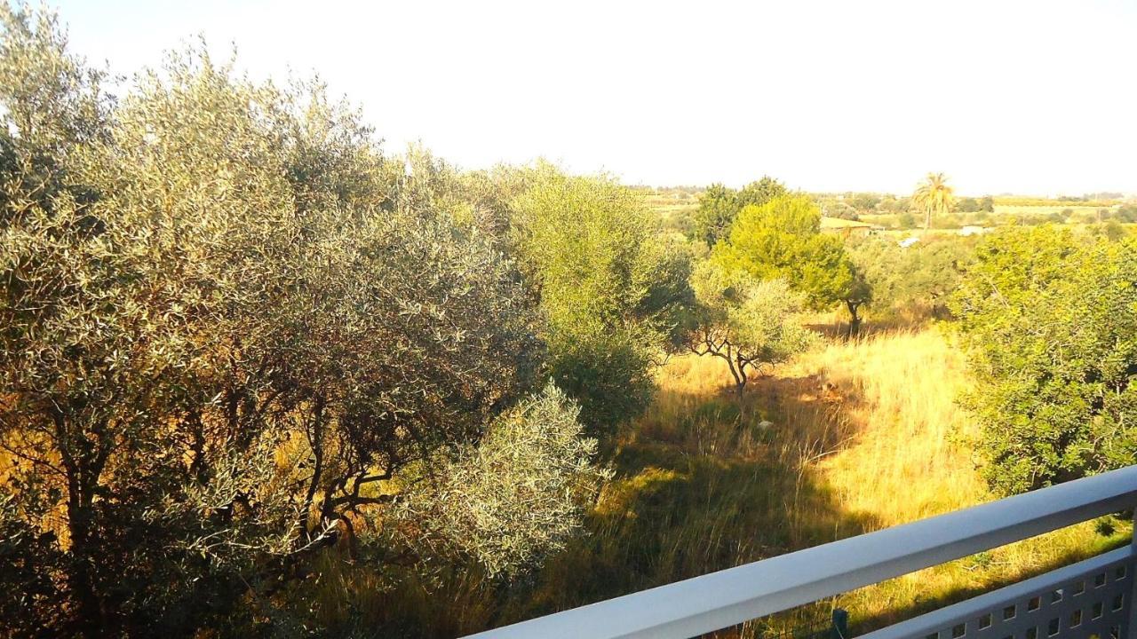 Terravita Residencial Lek Peñíscola 外观 照片